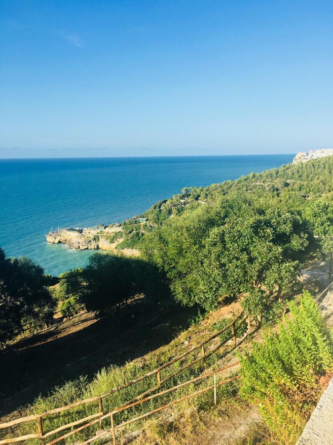 Casa Michela Villa Vico Del Gargano Exterior photo
